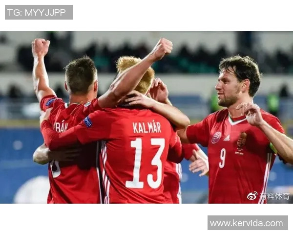 冰岛与匈牙利激战成平局双方各取一分展现实力